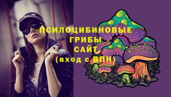 ПСИЛОЦИБИНОВЫЕ ГРИБЫ Кинешма
