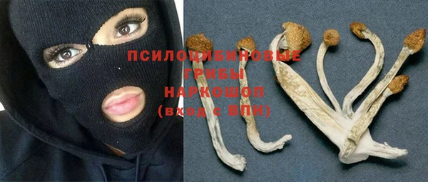 ПСИЛОЦИБИНОВЫЕ ГРИБЫ Кинешма
