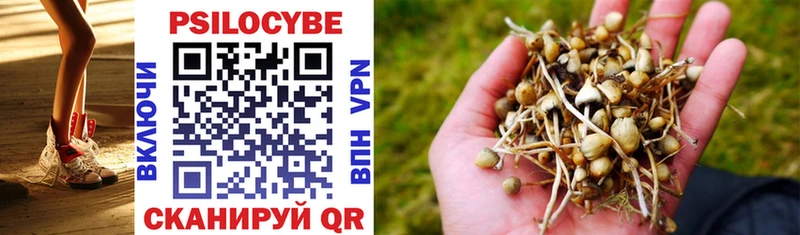 Купить закладки  Райчихинск  Псилоцибиновые грибы GOLDEN TEACHER 